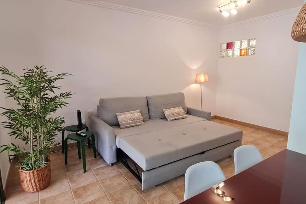 Apartamento Jardin Del Teide Puerto de la Cruz  Exterior foto